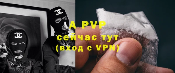 a pvp Белокуриха